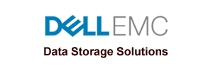 Partner_DellEMCLogo-1